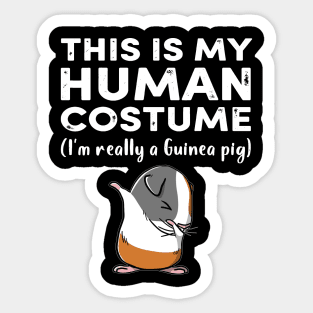 This My Human Costume I’m Really Guinea Pig Halloween (15) Sticker